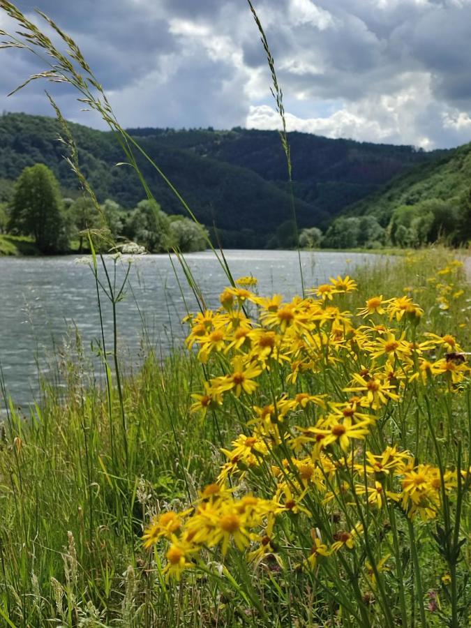 Entre Meuse Et Foret Revin  외부 사진