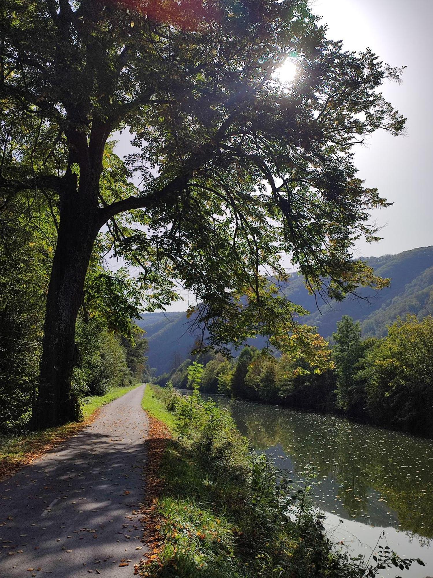 Entre Meuse Et Foret Revin  외부 사진