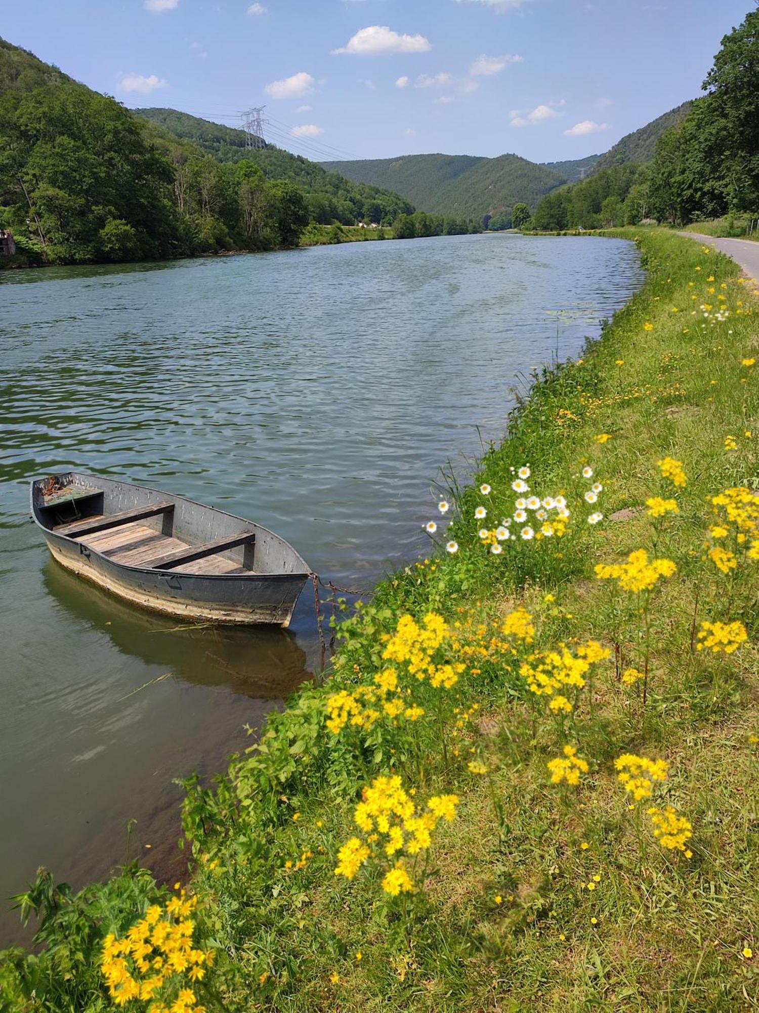 Entre Meuse Et Foret Revin  외부 사진